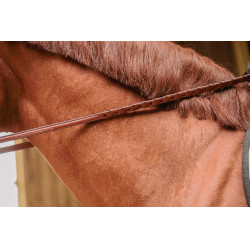 Bridon Hunter US Pénélope Noisette / havane