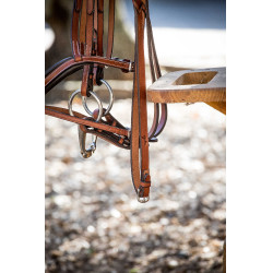 Rênes tressées Pénélope US Noisette Marron