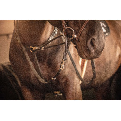 Rênes Pénélope Howlett cuir Noir