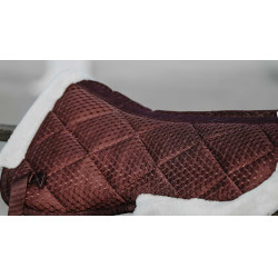 Amortisseur Equithème Pro air Bordeaux