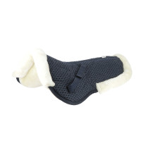 Amortisseur Equithème Pro air Noir