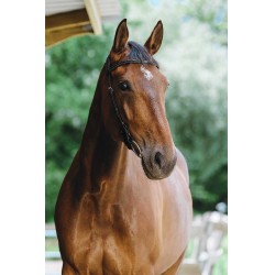 Bridon Freedom Norton Noir