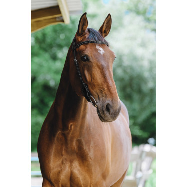 Bridon Freedom Norton Noir