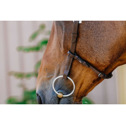 Bridon Freedom Norton Bridon Freedom Norton