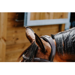 Bridon Freedom Norton Bridon Freedom Norton