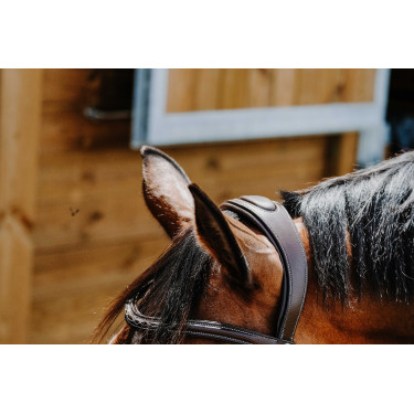 Bridon Freedom Norton Bridon Freedom Norton