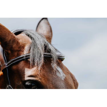 Bridon Freedom Norton Bridon Freedom Norton