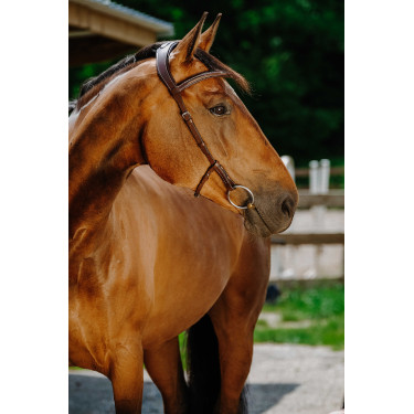 Bridon Freedom Norton Bridon Freedom Norton