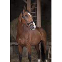 Bridon Norton Pro Fin Noir