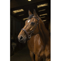Side-pull Norton Pro Confort Havane Marron