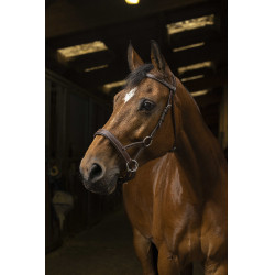 Side-pull Norton Pro Confort Havane Marron