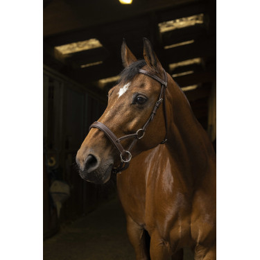 Side-pull Norton Pro Confort Havane Marron