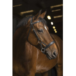 Side-pull Norton Pro Confort Noir Side-pull Norton Pro Confort Noir