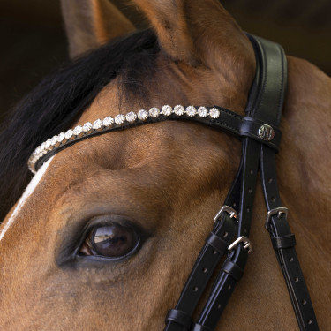 Bridon Norton Pro Bella Noir