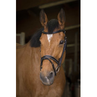 Bridon Norton Pro Rock Havane Marron Bridon Norton Pro Rock Havane Marron