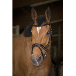 Bridon Norton Pro Rock Noir