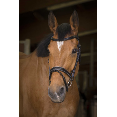 Bridon Norton Pro Rock Noir