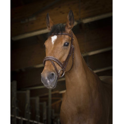 Bridon Norton Pro Rock Havane Marron Bridon Norton Pro Rock Havane Marron