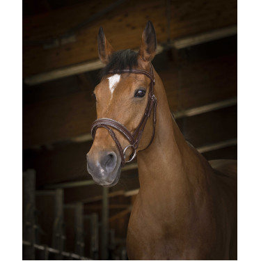 Bridon Norton Pro Rock Havane Marron Bridon Norton Pro Rock Havane Marron