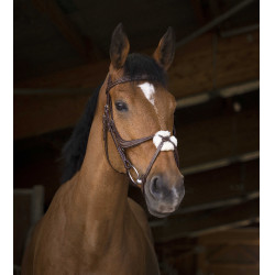 Bridon Norton Pro à muserole croisée
