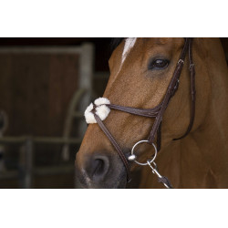 Bridon Norton Pro à muserole croisée