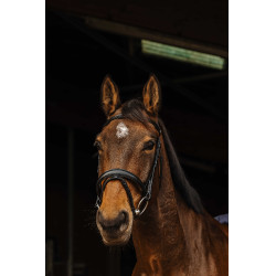 Bridon Norton Pro Dark Noir Bridon Norton Pro Dark Noir