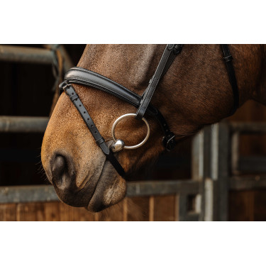 Bridon Norton Pro Dark Noir Bridon Norton Pro Dark Noir