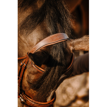 Bridon Eric Thomas Work Havane Marron