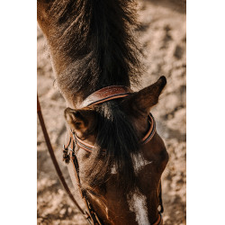 Bridon Eric Thomas Work Havane Marron