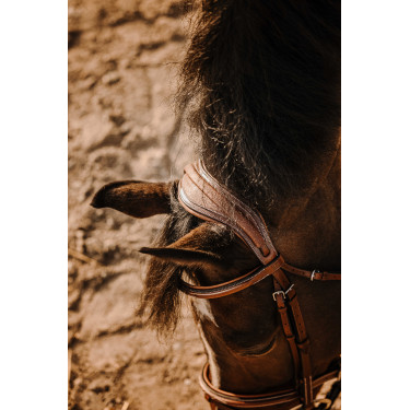 Bridon Eric Thomas Crown