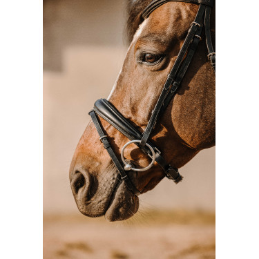 Bridon Eric Thomas Bat Noir