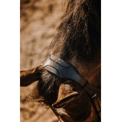 Bridon Eric Thomas Bat Noir