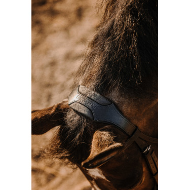 Bridon Eric Thomas Bat Noir