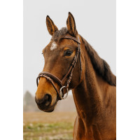 Bridon Norton Club Strass V Noir Bridon Norton Club Strass V Noir