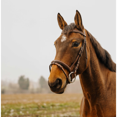 Bridon Norton Club Strass V Havane Marron