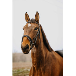 Bridon Norton Club Strass V Noir