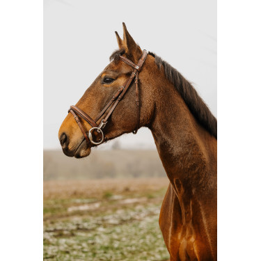 Bridon Norton Club Easy Havane Marron Bridon Norton Club Easy Havane Marron