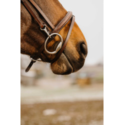 Bridon Norton Club Easy Havane Marron Bridon Norton Club Easy Havane Marron