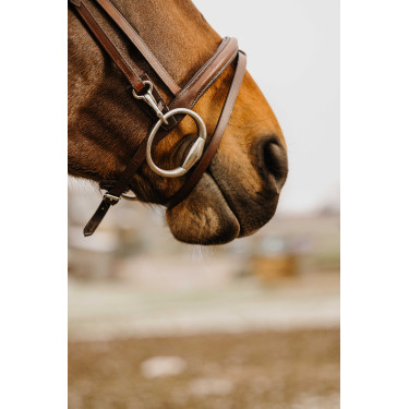 Bridon Norton Club Easy Havane Marron Bridon Norton Club Easy Havane Marron