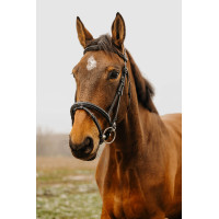 Bridon Norton Club Easy Noir