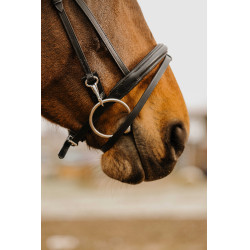 Bridon Norton Club Easy