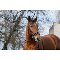 Bridon Norton Training Noir