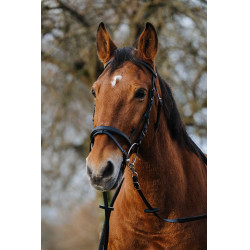 Bridon Norton Training Noir