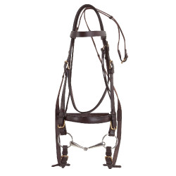 Bridon Excelsior Cheval de Trait Havane Marron