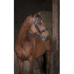 Bride Norton Pro Noir