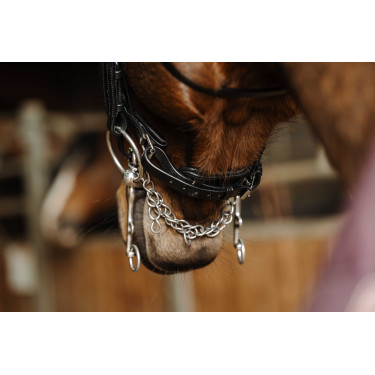 Bride Norton Basal Noir