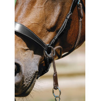 Bridon Bitless Norton Havane Marron