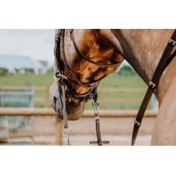 Bridon Bitless Norton