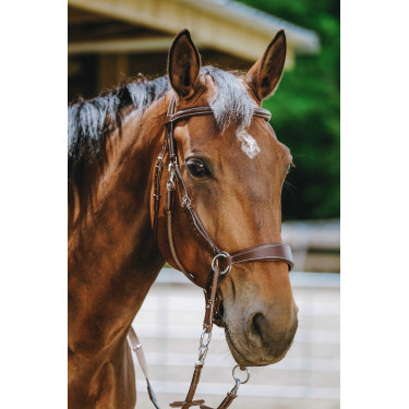 Bridon Bitless Norton