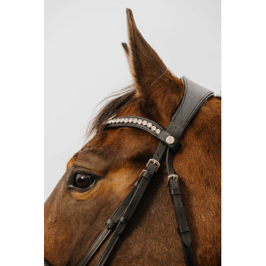 Bridon Norton Club Diva